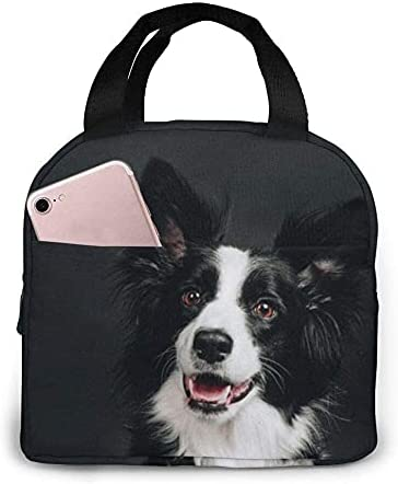 Saco de almoço jovem border co - Tote Bag Sublimation avaliação e preço